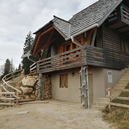 Apartmaji Vrhovnik 戈雷尼斯卡地区采尔克列 外观 照片